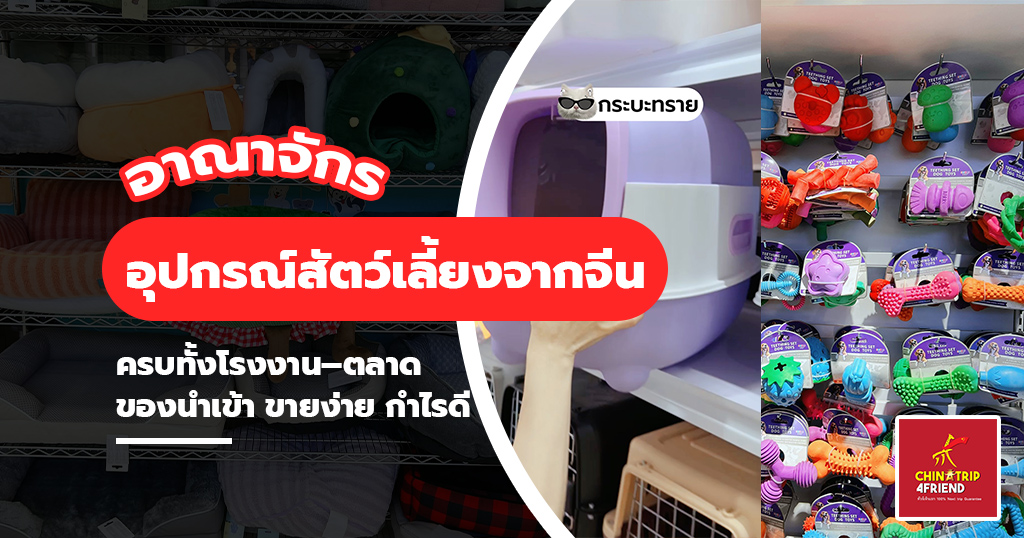อุปกรณ์สัตว์เลี้ยงจากจีน